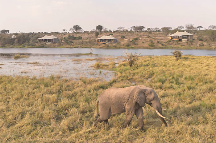 Kruger Park & Cape Town (Sandringham Game Reserve)