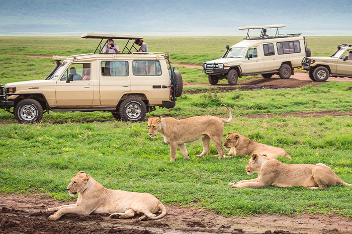 Sky Safari na Tanzânia