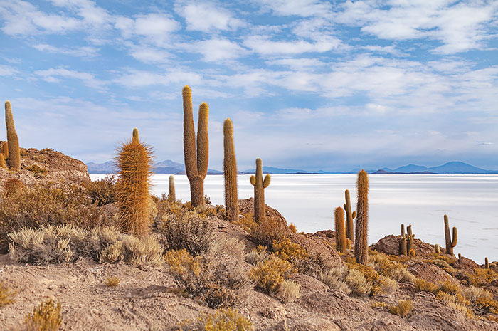 Natureza no Deserto do Atacama e Salar de Uyuni 