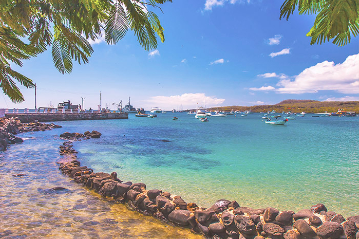 Galápagos Combinado de Ilhas: San Cristobal, Isabela e Santa Cruz tarifas especiais 2026