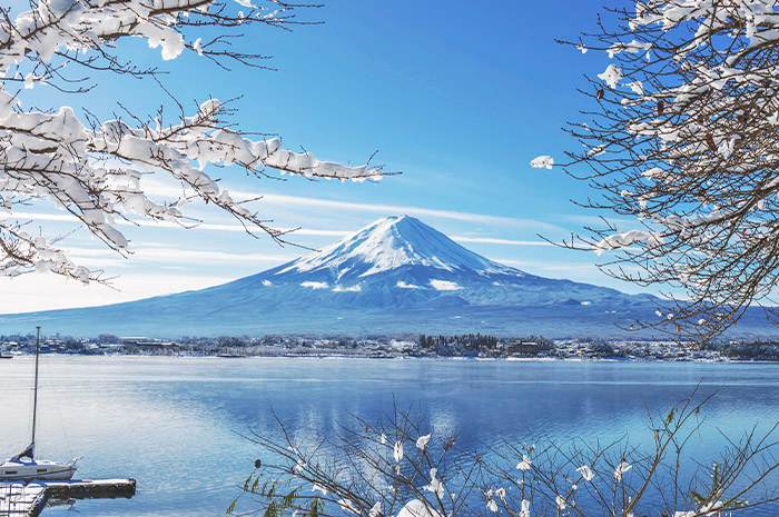 Inverno no Japão com Guia em Português